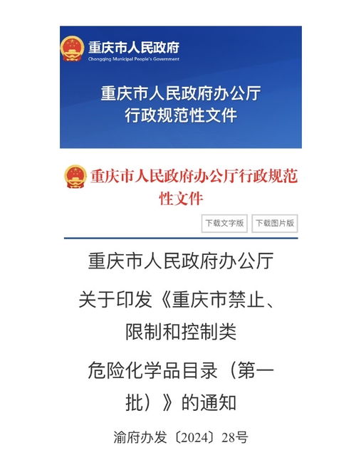 嚴管生產儲存使用，重慶發布首批危險化學品“禁限控”目錄